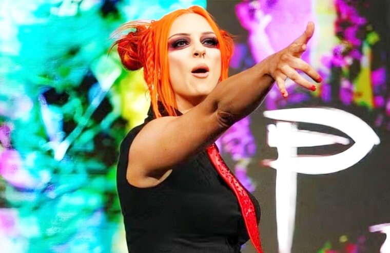 Former NXT Wrestler Calls Out Overzealous Fans For Crossing Serious Boundaries