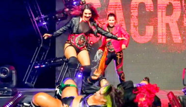 Former TNA Wrestler Shares More Information On Her Recent Departure 
