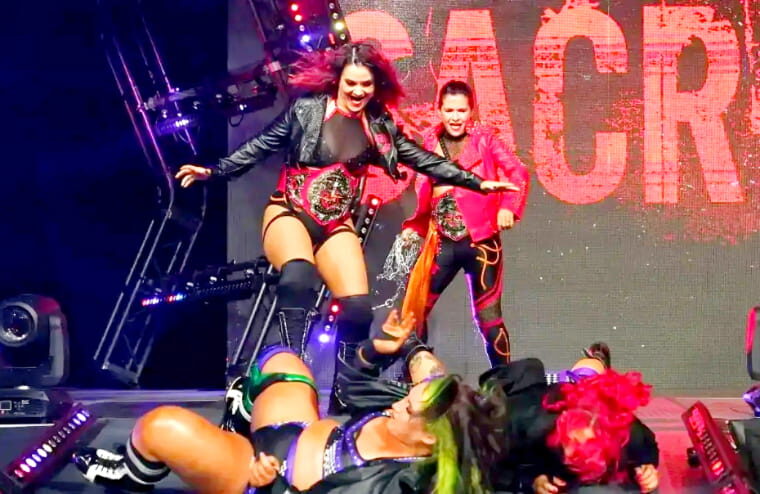 Former TNA Wrestler Shares More Information On Her Recent Departure 