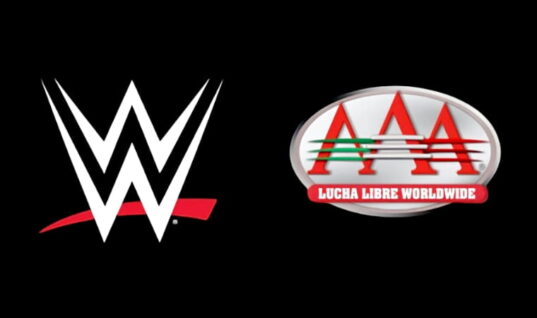 AAA Star Released Following Fan Altercation