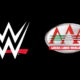 AAA Star Released Following Fan Altercation (w/Video)