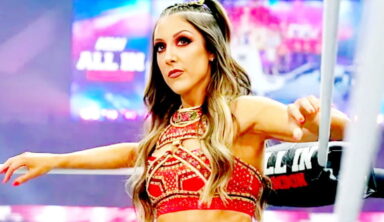Britt Baker Returns To Television But Not How You’d Think