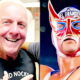 Ric Flair Issues Public Apology To Ludwig Kaiser After Savage Verbal Attack
