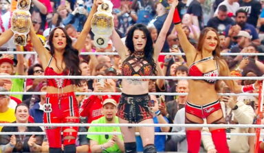 Brie Bella Comments On “Stooge” Who Leaked Paige’s WWE Return