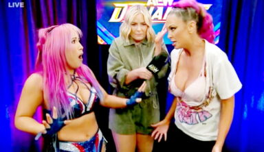 Harley Cameron Addresses Fan Outrage Over Mina Shirakawa Ripping Her Top