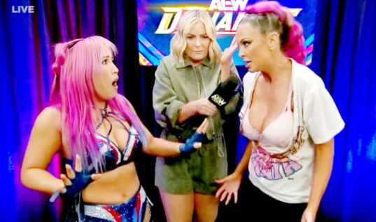 Harley Cameron Addresses Fan Outrage Over Mina Shirakawa Ripping Her Top