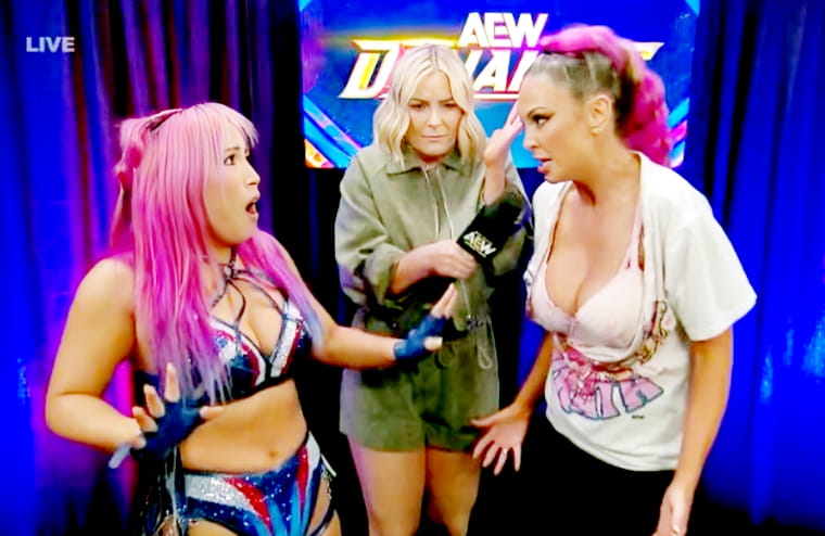Harley Cameron Addresses Fan Outrage Over Mina Shirakawa Ripping Her Top