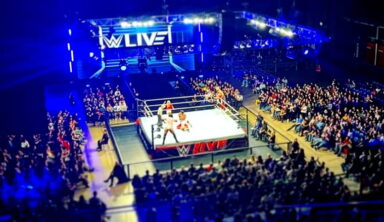Backstage News On Why WWE Has Revived Summer House Shows