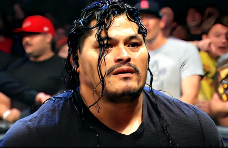 WWE Releases More Talents In Post-WrestleMania Roster Shake-Up