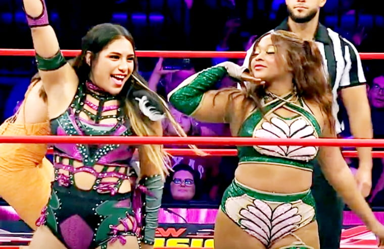 GoFundMe Launched After The Sudden Death Of AEW’s Maya World’s Brother