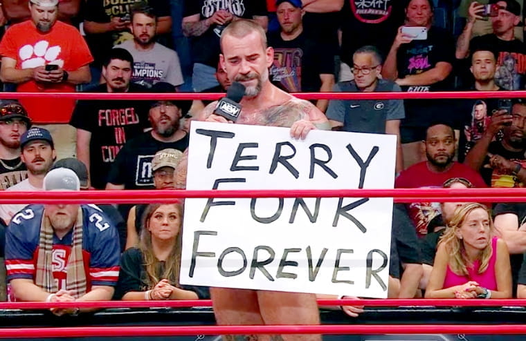 Fans Loved CM Punk’s Epic Terry Funk Reference During His Return To MMA Commentary