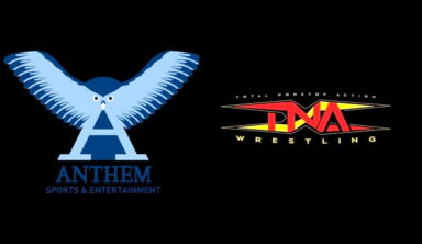 How Much Anthem Would Sell TNA For Revealed