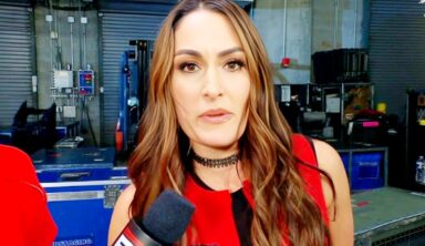Nikki Bella Proves Age Is Just A Number With Breathtaking Spa Photos
