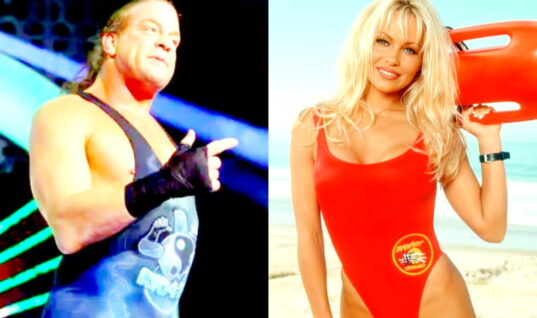 RVD Admits He Completely Blew It With Pamela Anderson