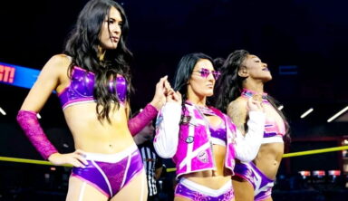 Another Wrestler Cut Loose by TNA